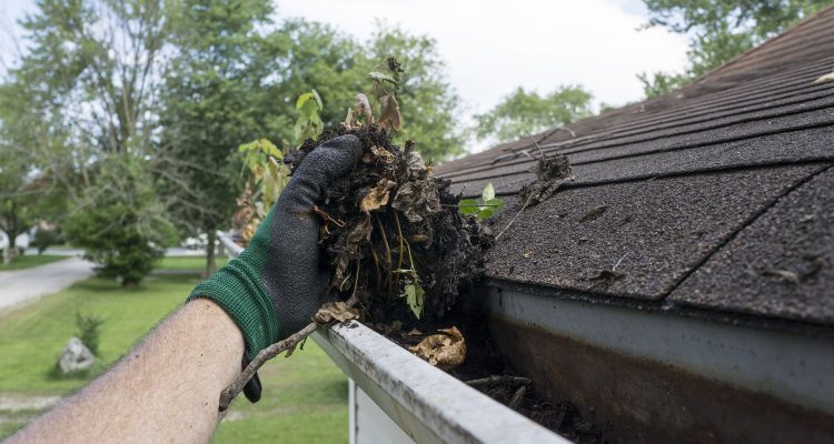 Clogged-Gutters-South-Jersey