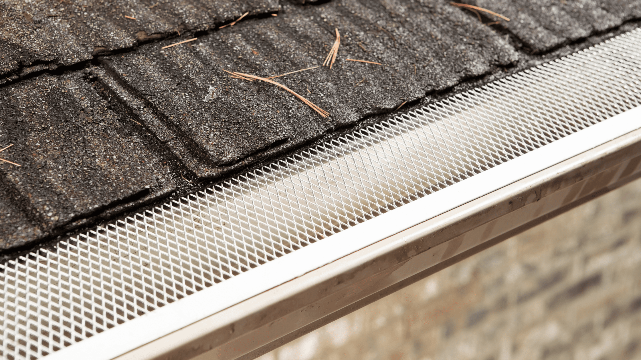 What Is The Best Type of Gutter Guard?